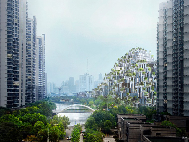 An Urban Mountain of Green